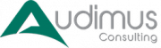 Audimus Saar Consulting